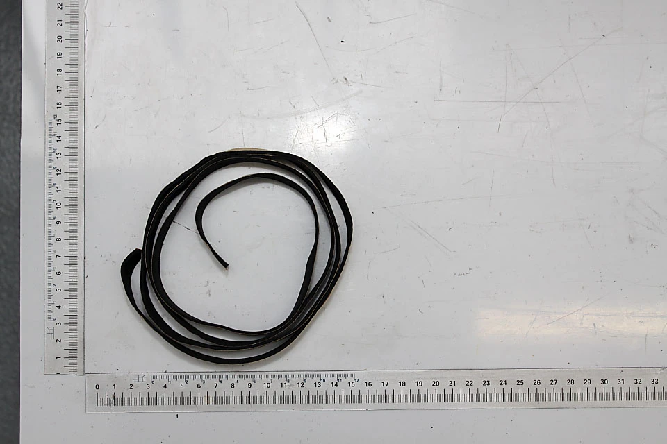 SCHEPPACH - Bande De Pare-éclats Pour Rail 1400 Mm De Scie Plongeante Scheppach, Kity Et Woodster 3 SCHEPPACH - Bande De Pare-éclats Pour Rail 1400 Mm De Scie Plongeante Scheppach, Kity Et Woodster