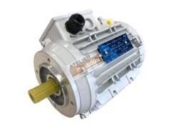 SCHEPPACH - Moteur 230V Monophasé 0.98 KW Pour Combiné Scheppach, Kity Et Woodster